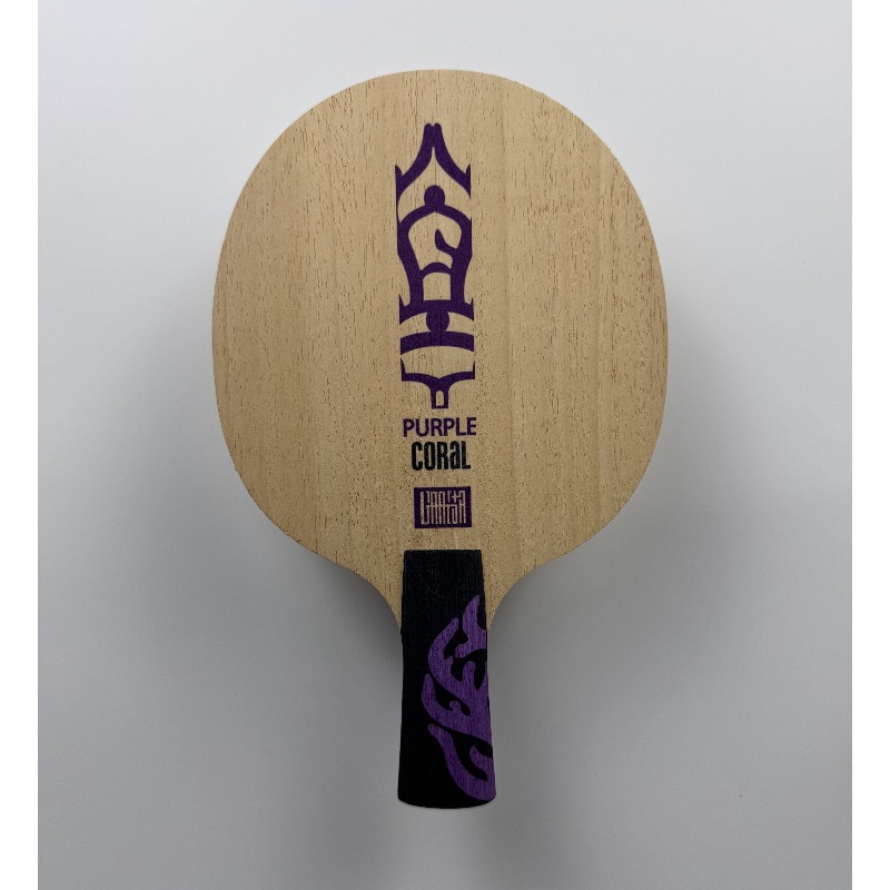 Rakietka do tenisa stołowego M – Table Tennis Paddle recenzja i cena